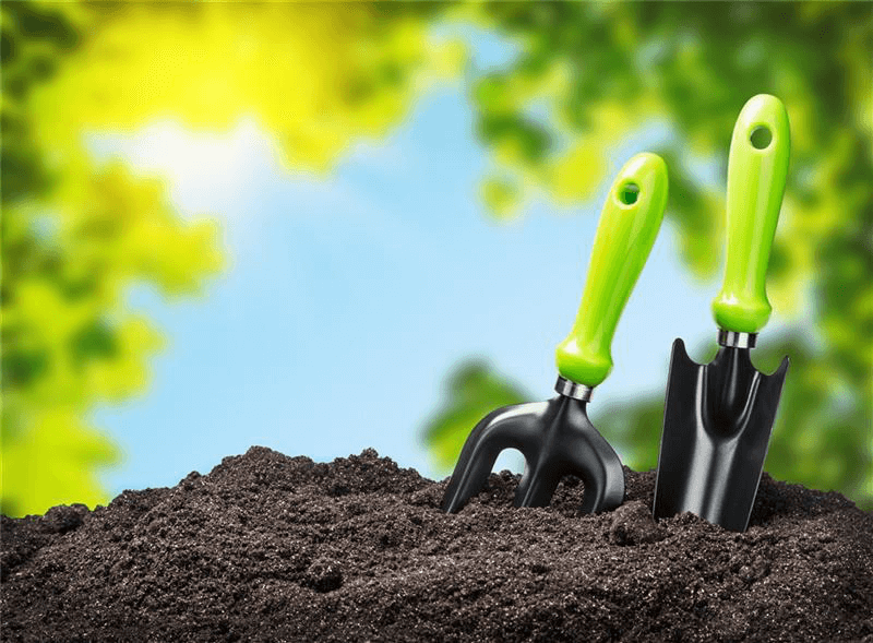 1541406519608889.png 10.png